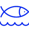 Ocean and Marine Conservation